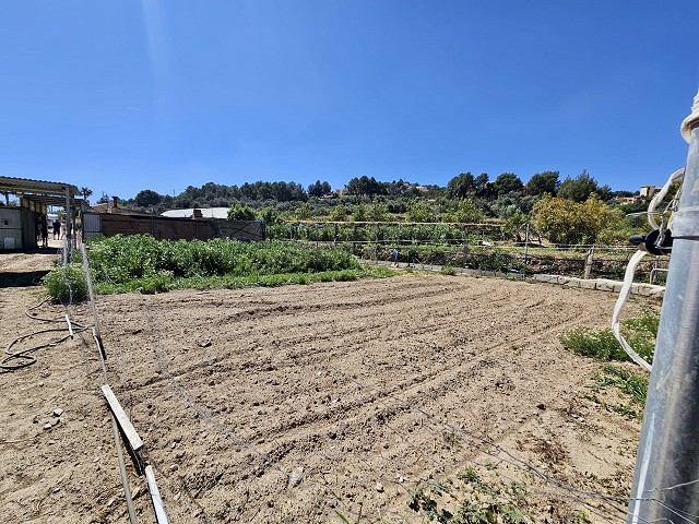 Foto propiedad 35