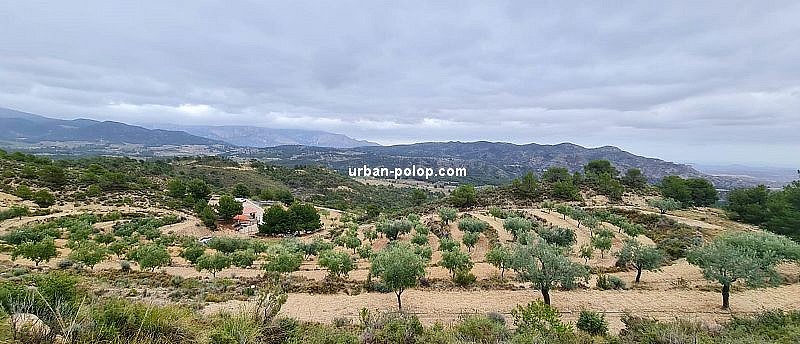 Foto principal Casa de campo en Alicante