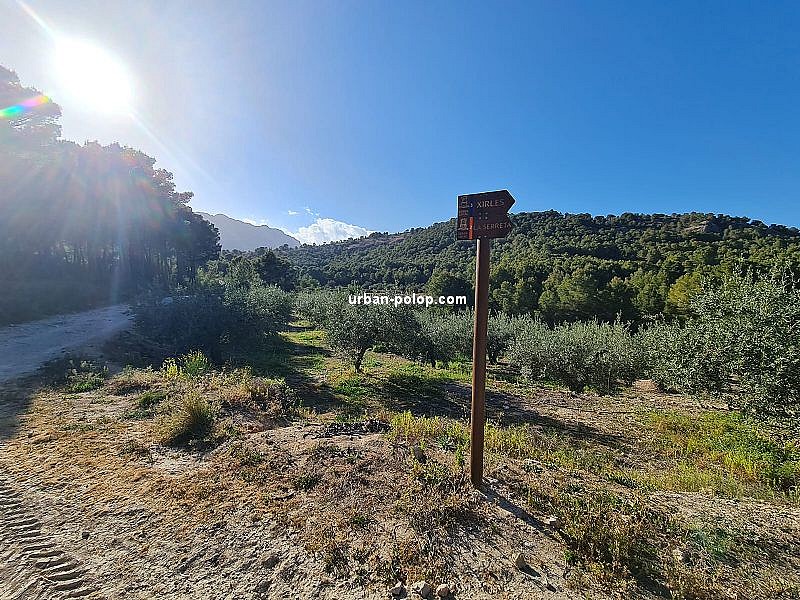 Foto principal Terrenos y parcelas en POLOP