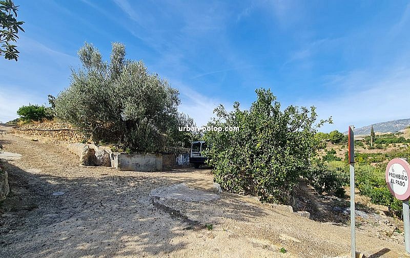 Foto principal Terrenos y parcelas en POLOP